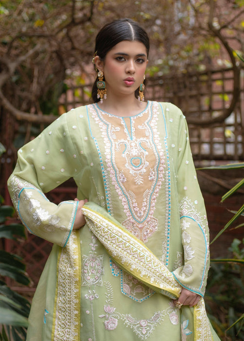 Ali Xeeshan | Chanda Luxury Pret | Sabaat - Official Ali Xeeshan - Agha Fabrics UK