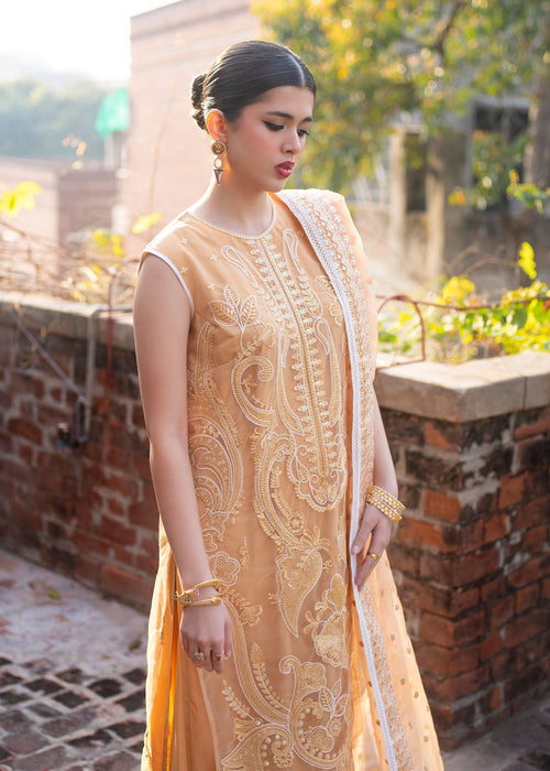 Ali Xeeshan | Chanda Luxury Pret | Inara - Official Ali Xeeshan - Agha Fabrics UK
