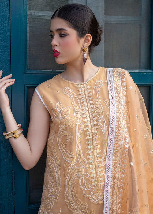 Ali Xeeshan | Chanda Luxury Pret | Inara - Official Ali Xeeshan - Agha Fabrics UK