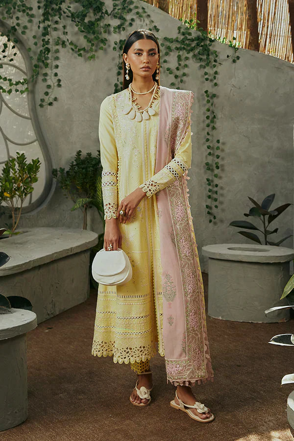 Suffuse | Casual Pret Eid 24 | Amriti -  Suffuse Casuals -  Agha Fabrics
