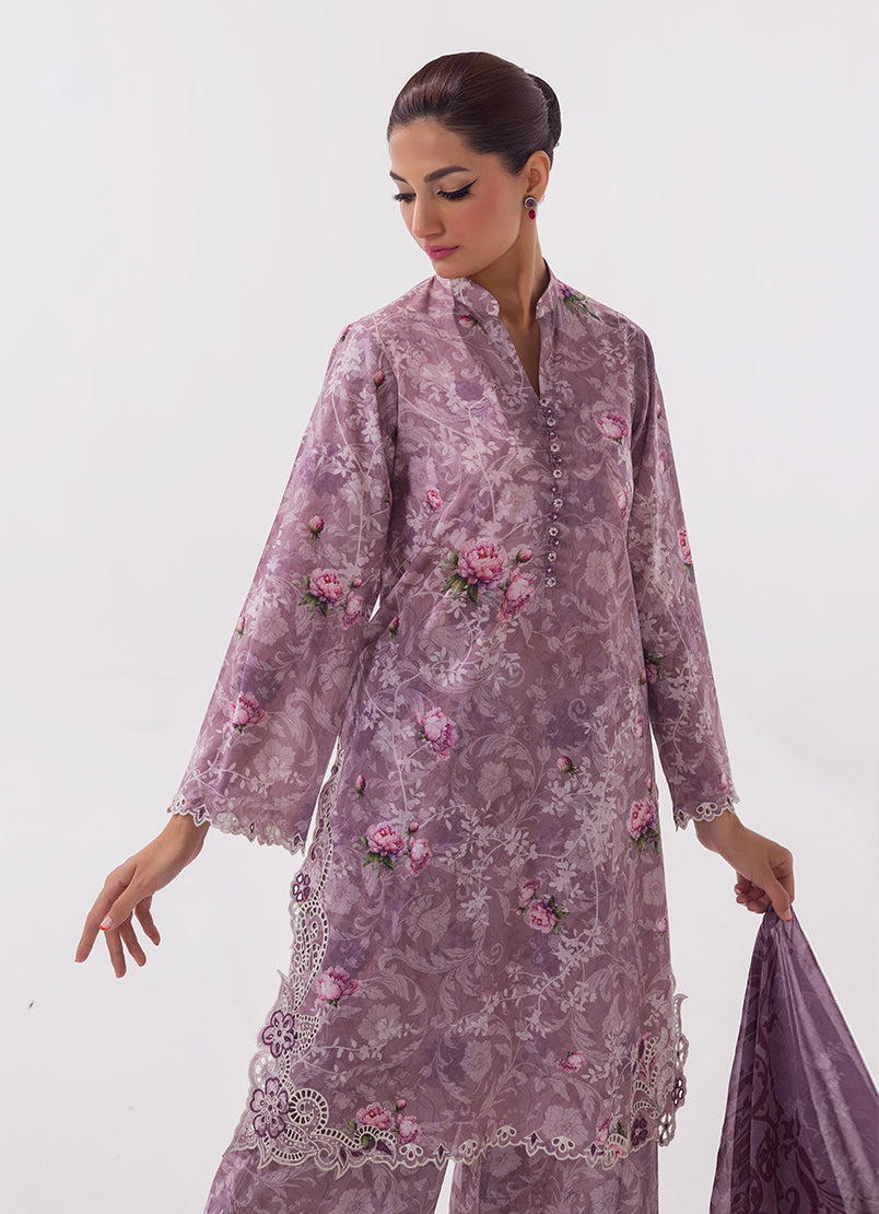 Image | Spring Basics 25 | IMPRSS-214014-12489