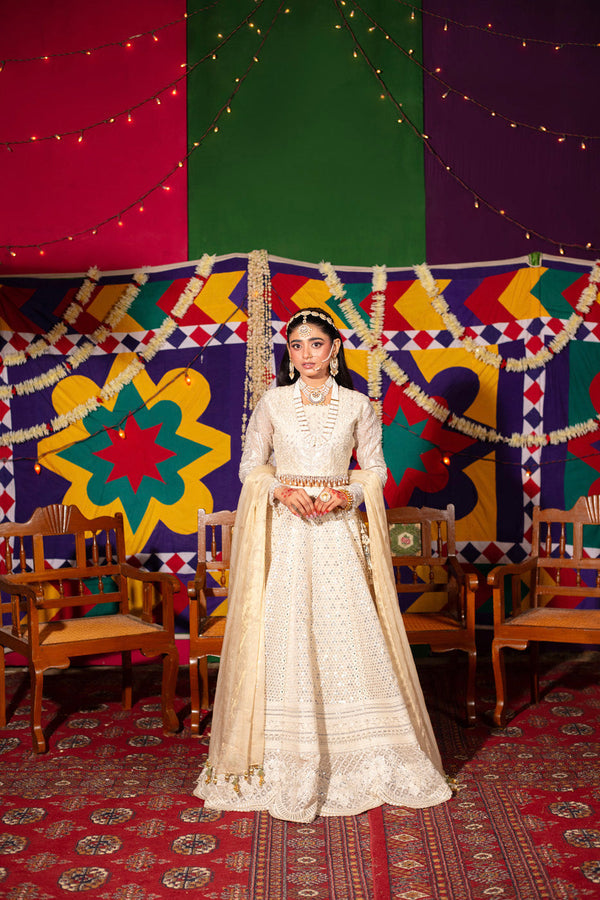 Al Karam | Luxe Formals | RTS | SHIRT, LINING, TROUSER & DUPATTA N - Official Al Karam - Agha Fabrics UK