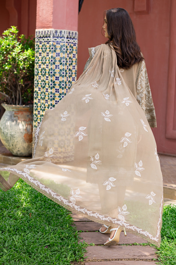 Marjjan | Seraya Lawn 25 | MBL- 19 A