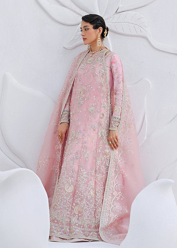 Suffuse | Freeshia Formal | FALEK