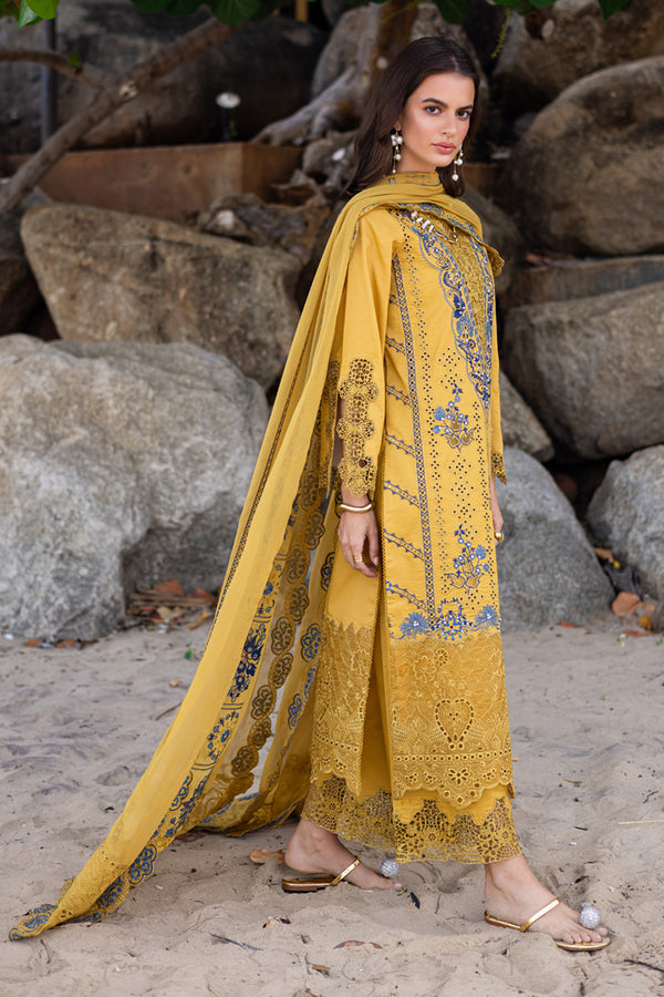 Marjjan | Mavi Lawn | MLL-23 B (MUSTARD)