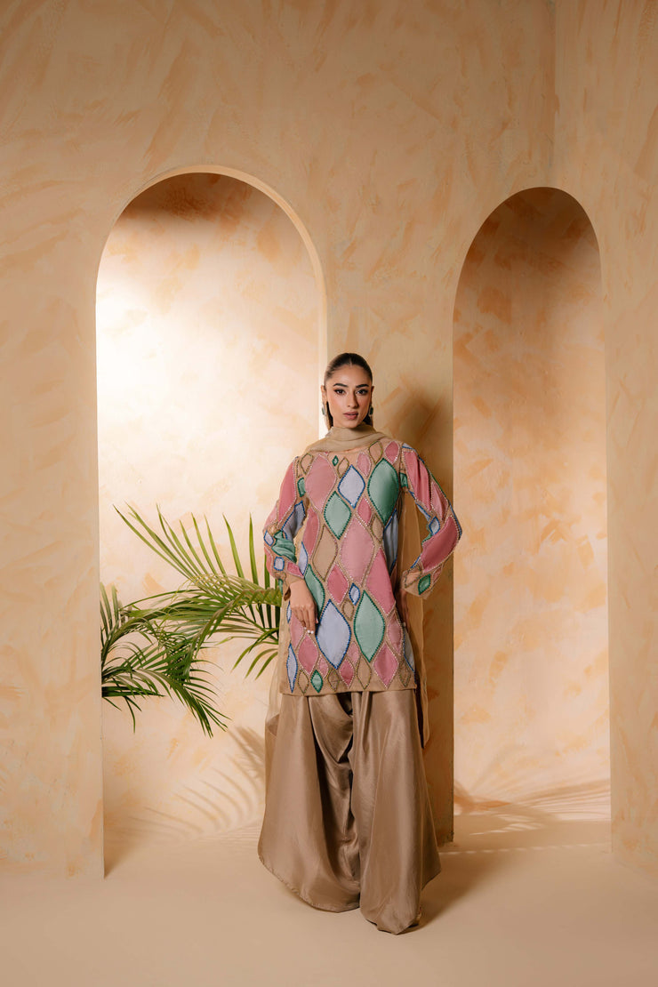 Sammy K | Daisy Drizzle | Rainbow Rose