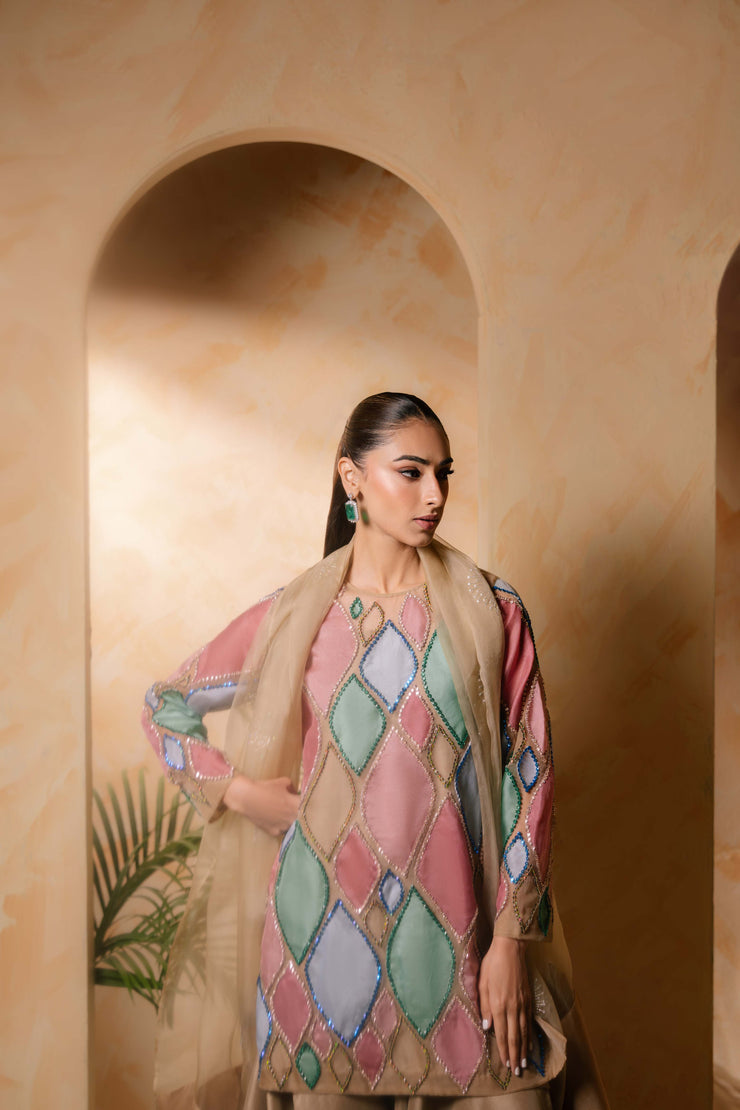 Sammy K | Daisy Drizzle | Rainbow Rose