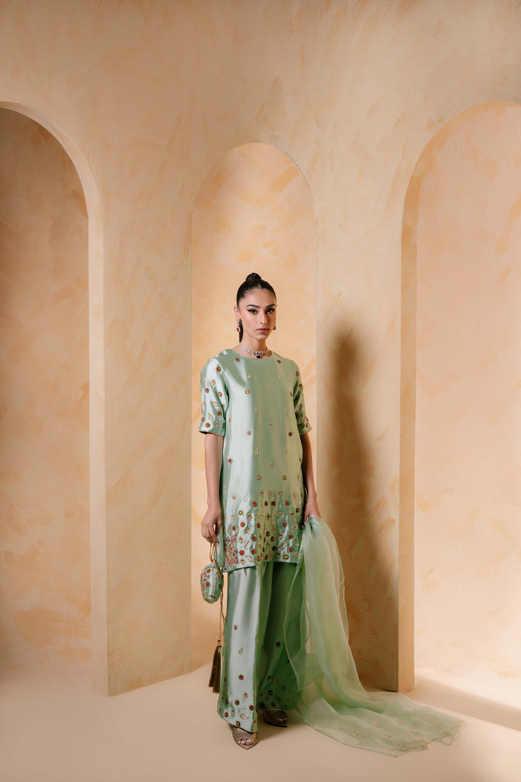 Sammy K | Daisy Drizzle | Sage