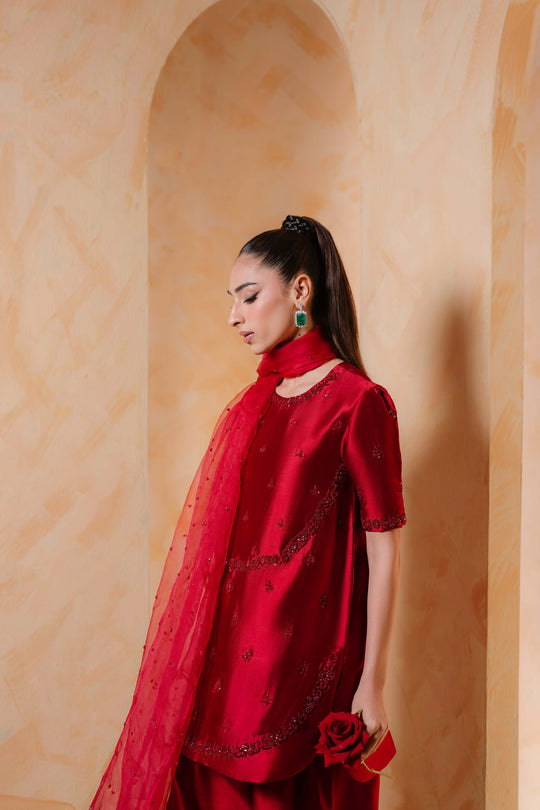 Sammy K | Daisy Drizzle | Zinnia