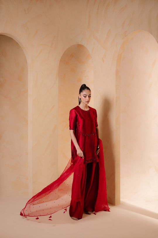 Sammy K | Daisy Drizzle | Zinnia