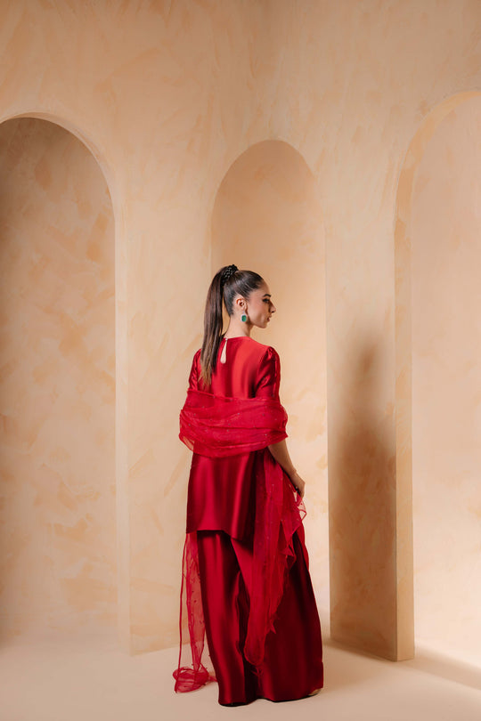 Sammy K | Daisy Drizzle | Zinnia