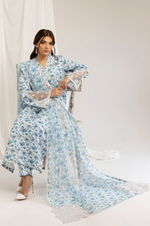 Mohagni | Tulips 24 | PLS-121