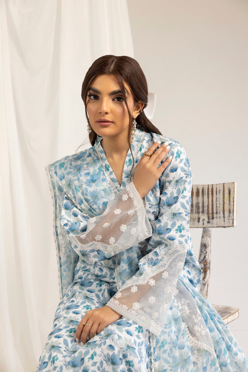 Mohagni | Tulips 24 | PLS-121