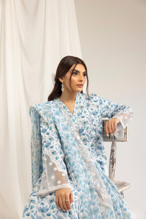 Mohagni | Tulips 24 | PLS-121