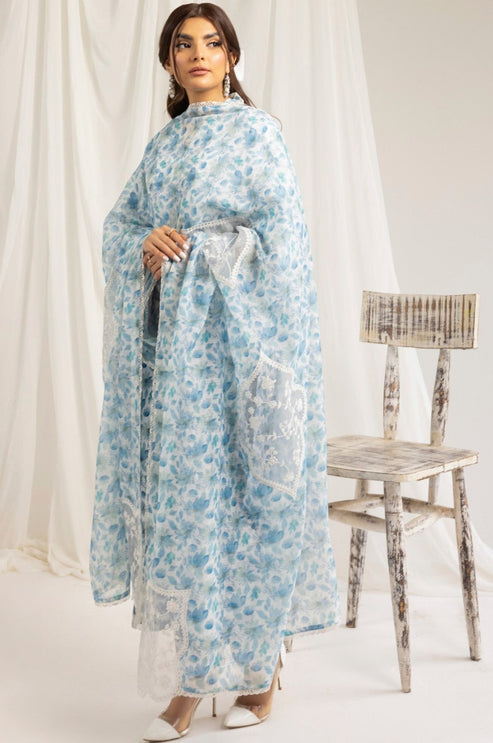 Mohagni | Tulips 24 | PLS-121