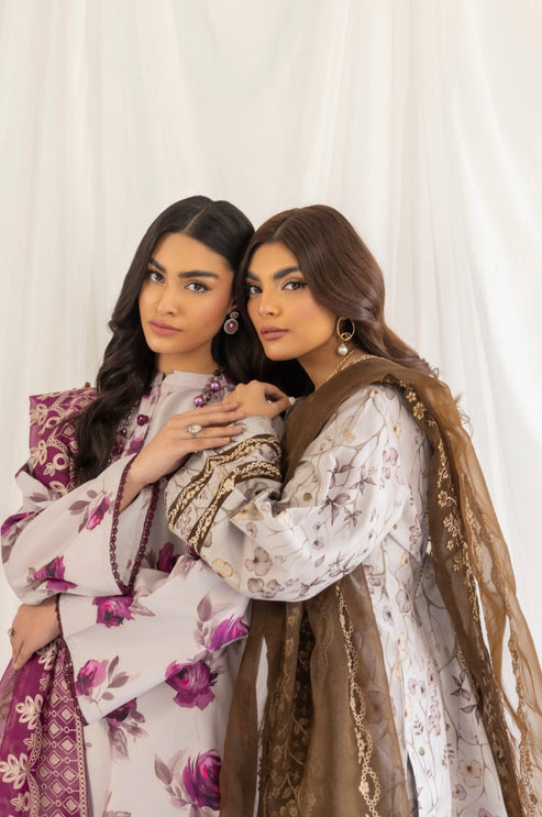 Mohagni | Tulips 24 | PLS-123