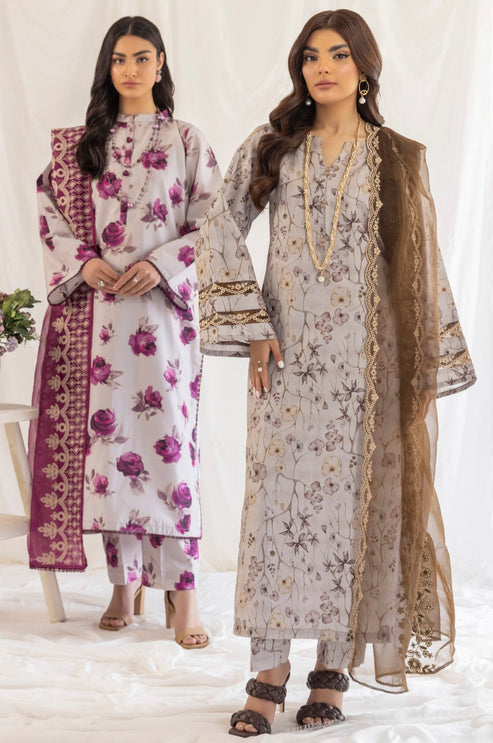 Mohagni | Tulips 24 | PLS-123