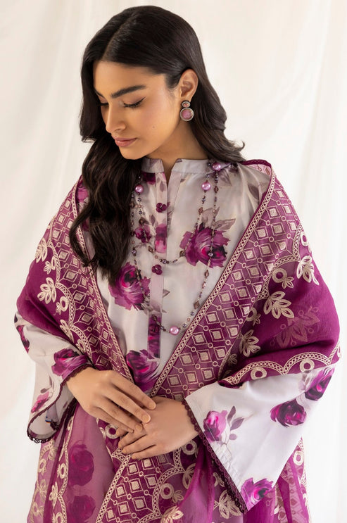 Mohagni | Tulips 24 | PLS-123