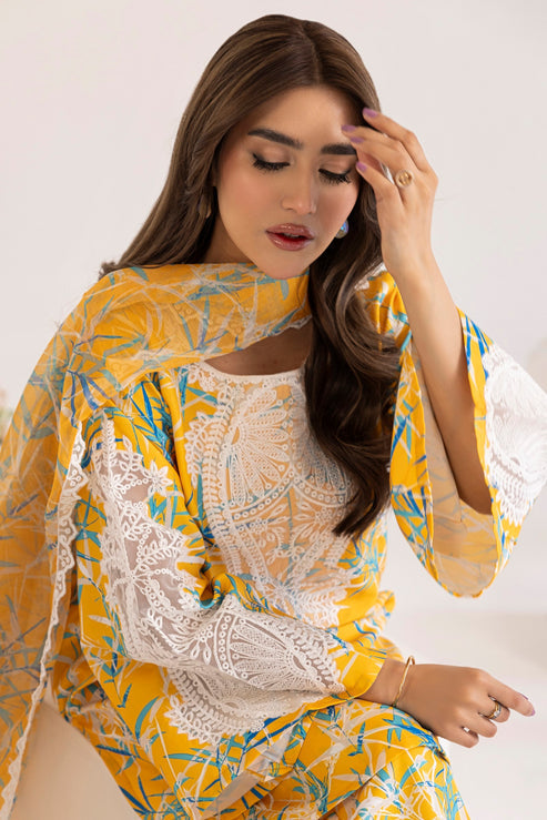 Mohagni | Tulips 24 | PLS-127