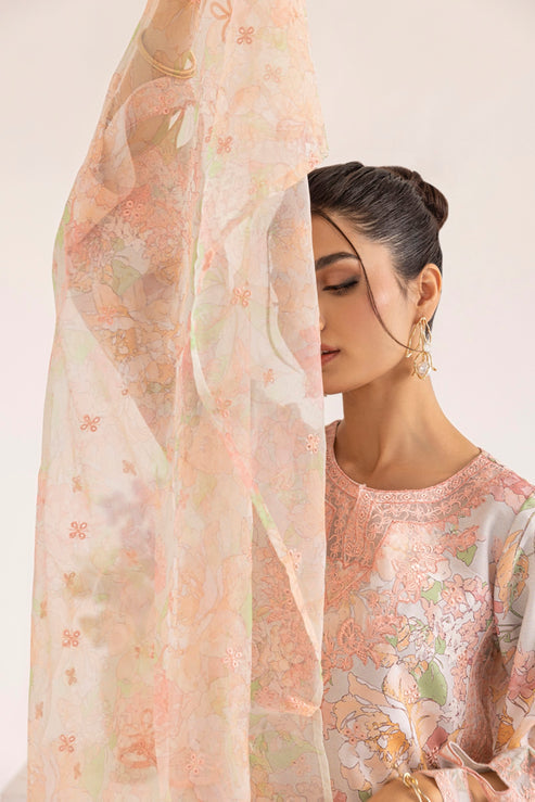 Mohagni | Tulips 24 | PLS-129