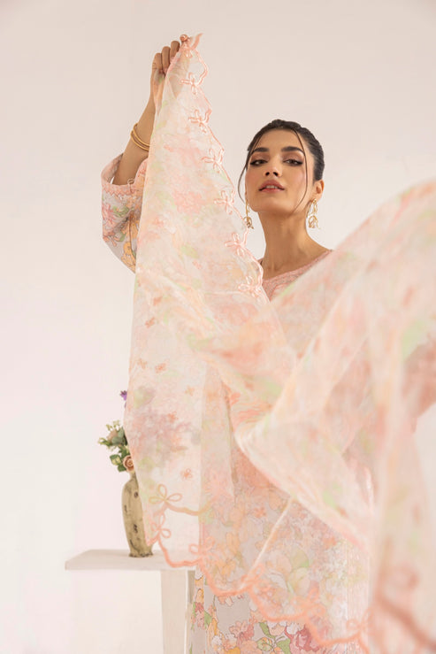 Mohagni | Tulips 24 | PLS-129