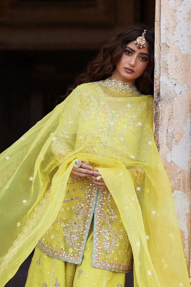 Qalamkar | Shadmani Luxury Formals | Dania SH-05