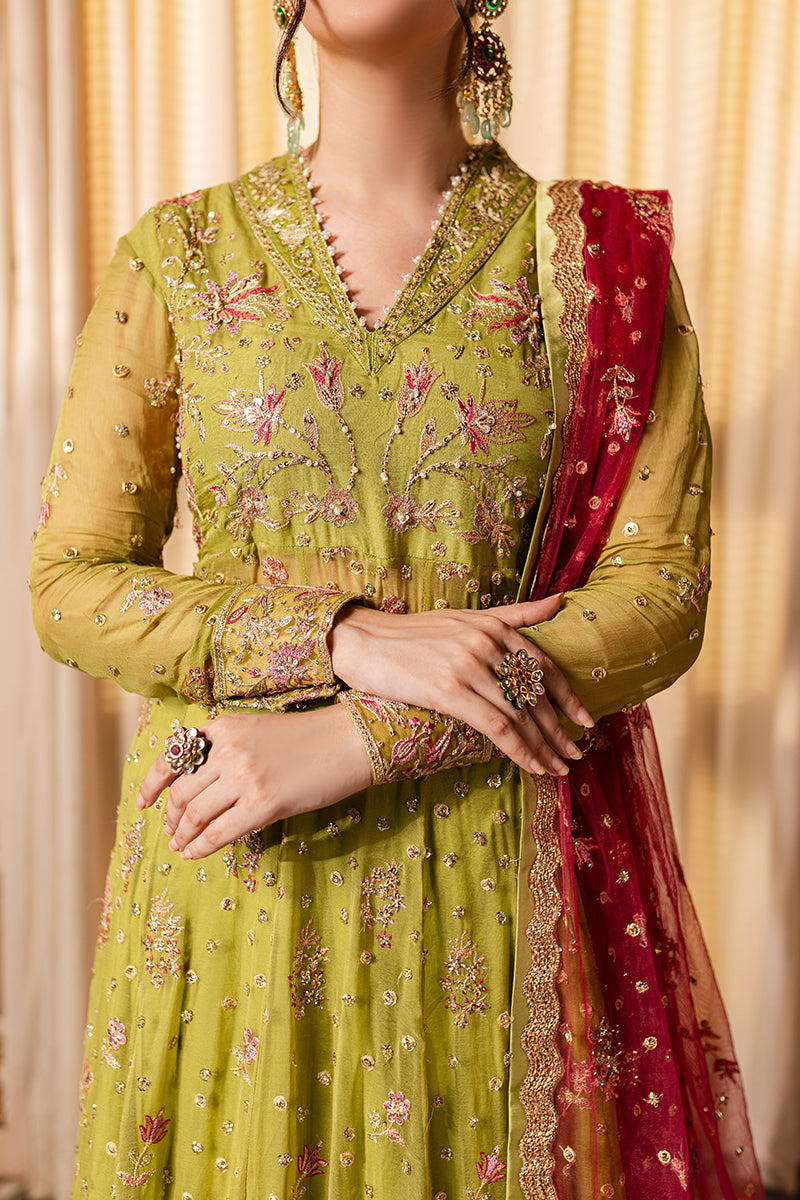Roheenaz | Naira Chiffon 24 | Inaya