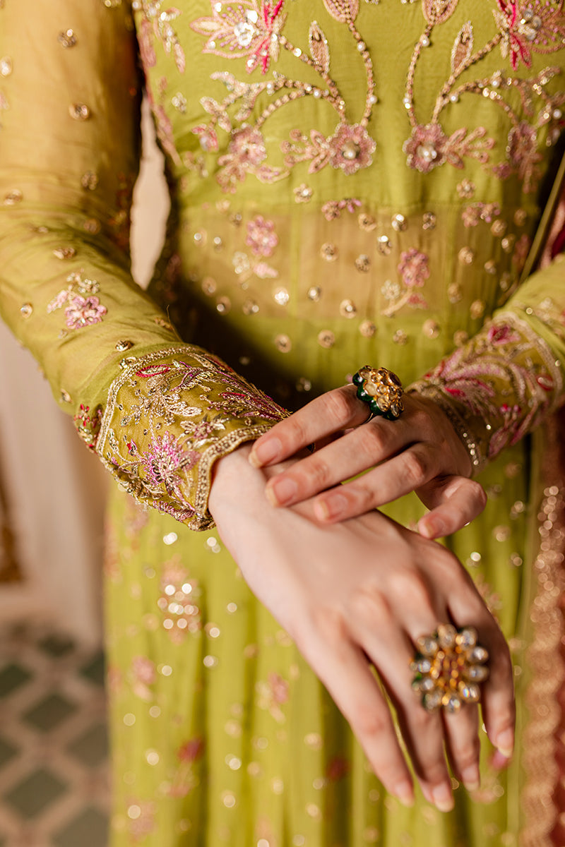 Roheenaz | Naira Chiffon 24 | Inaya