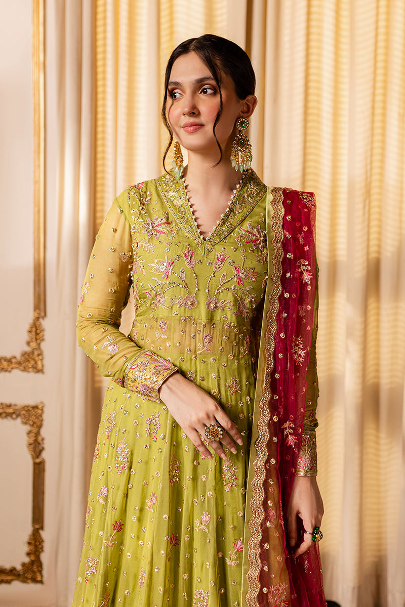 Roheenaz | Naira Chiffon 24 | Inaya