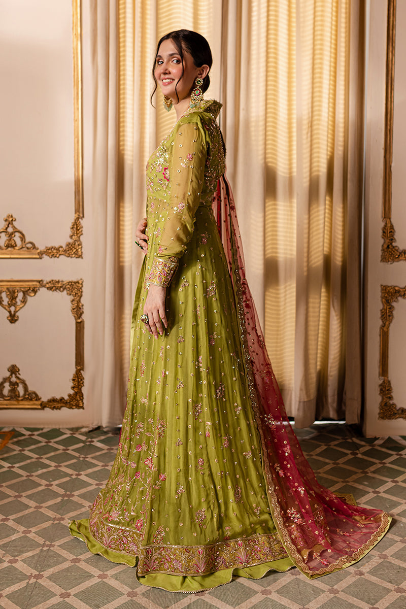 Roheenaz | Naira Chiffon 24 | Inaya
