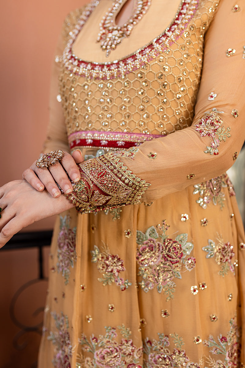 Roheenaz | Naira Chiffon 24 | Aylin