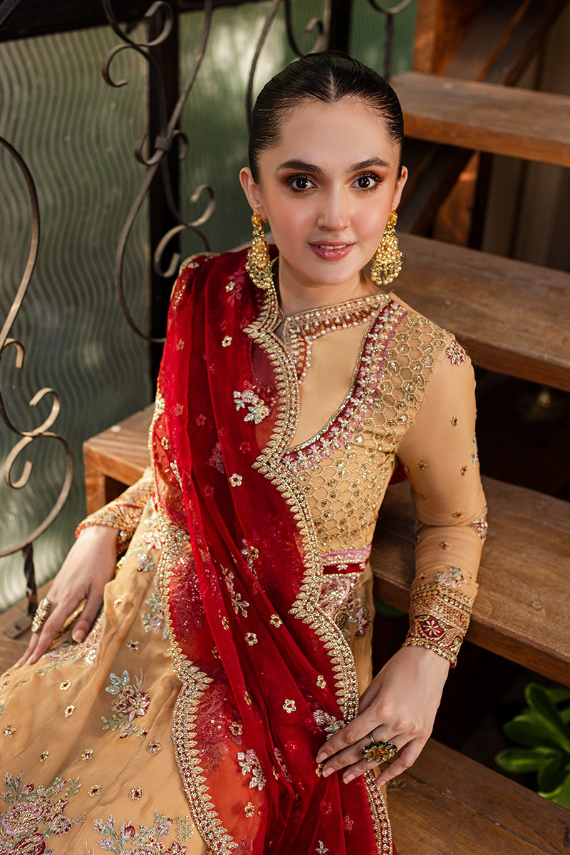 Roheenaz | Naira Chiffon 24 | Aylin