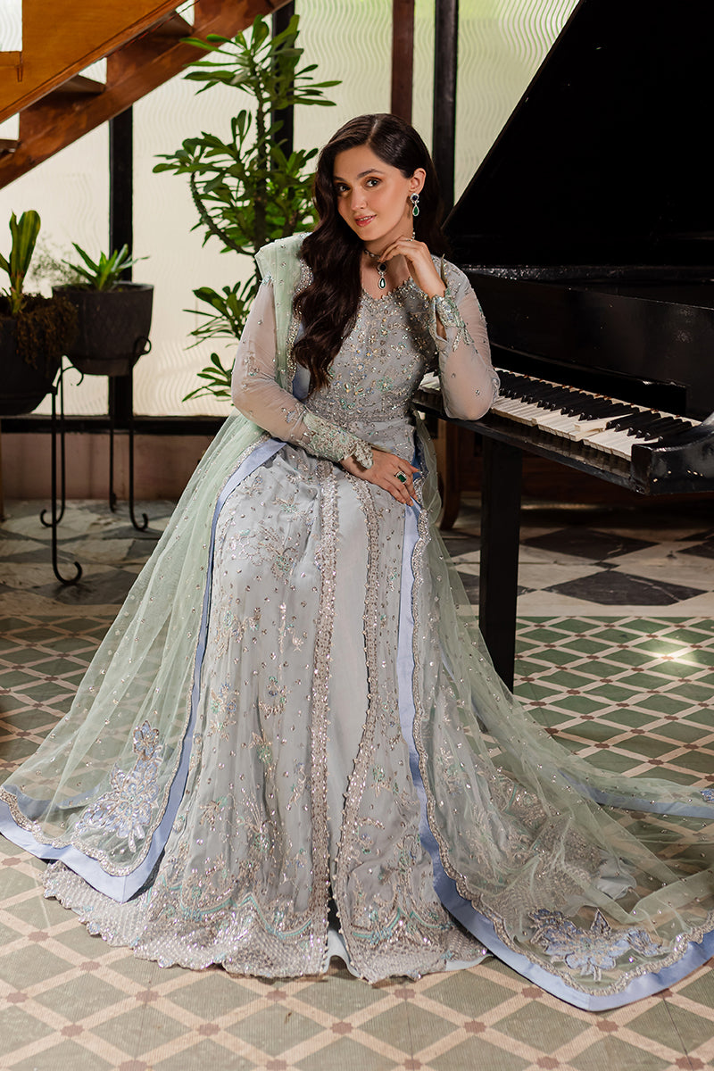Roheenaz | Naira Chiffon 24 | Aaliyah