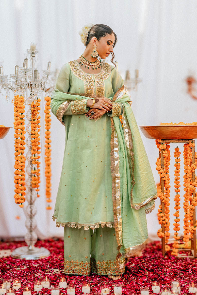 The Pink Tree Company | Gota Tikli | AARSI