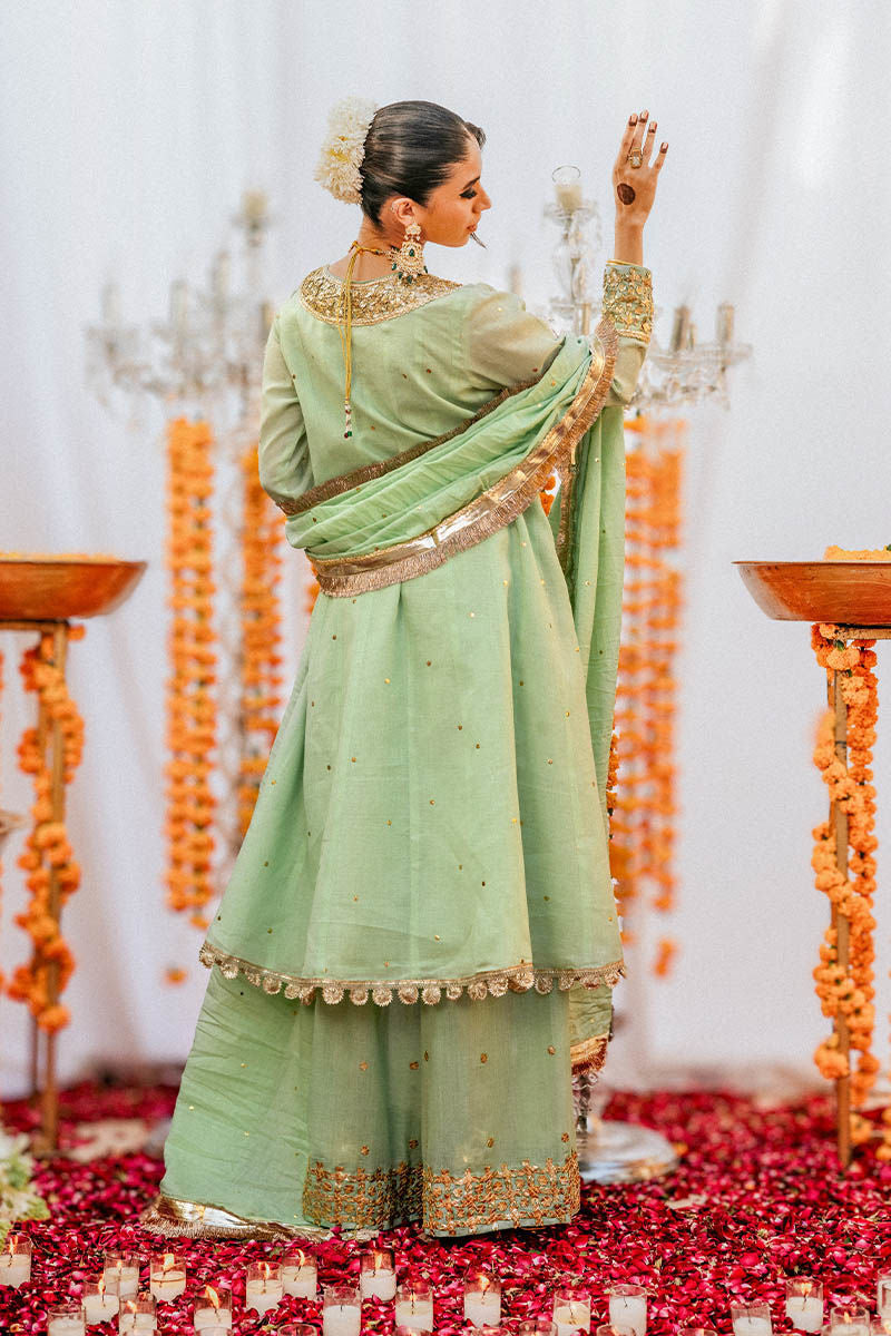 The Pink Tree Company | Gota Tikli | AARSI