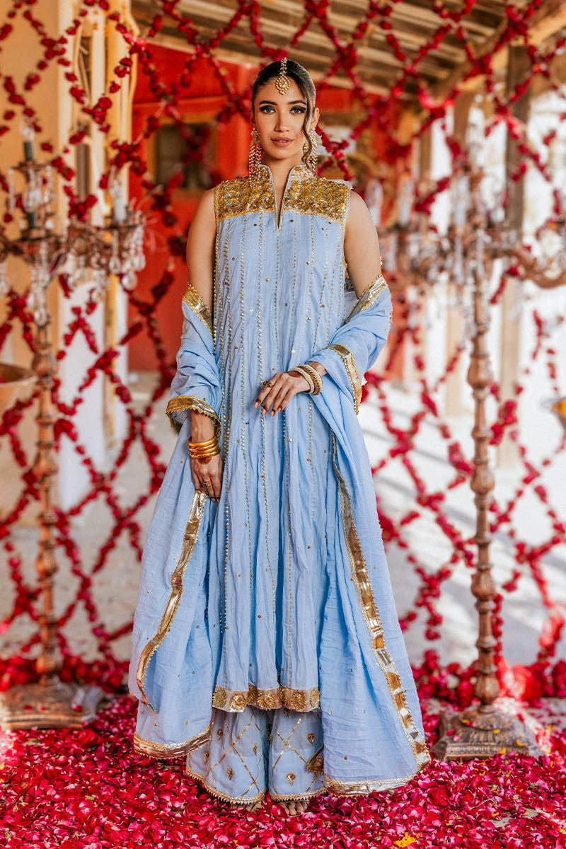 The Pink Tree Company | Gota Tikli | GULLU BAND