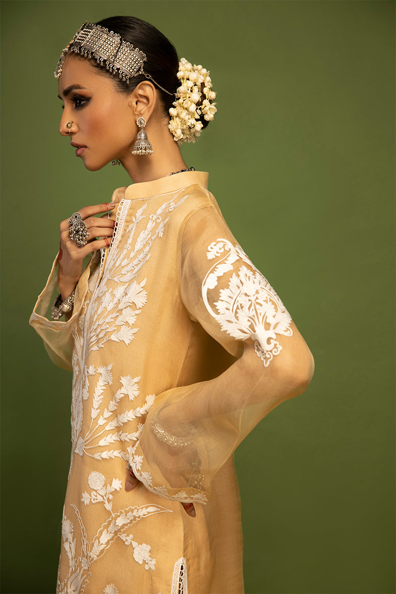 Wardha Saleem | Luxury Pret Traditional Wear | SHIKAR GAH - AARI WORK (2 PC) - Official Wardha Saleem - Agha Fabrics UK