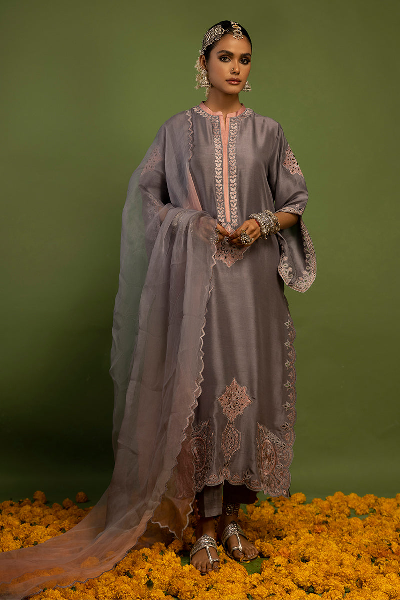 Wardha Saleem | Luxury Pret Traditional Wear | SUROOR - PURE SILK (2 PC) - Official Wardha Saleem - Agha Fabrics UK