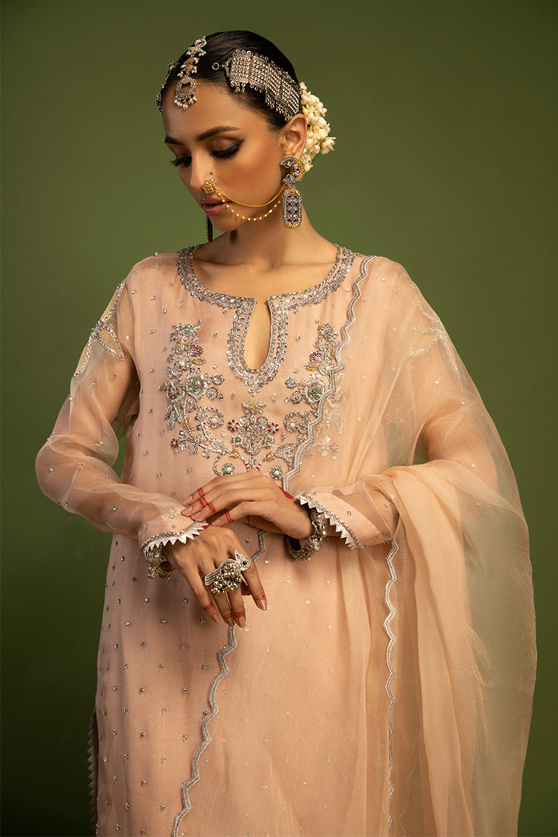 Wardha Saleem | Luxury Pret Traditional Wear | MISMAAR - HEAVY FORMAL (2 PC) - Official Wardha Saleem - Agha Fabrics UK