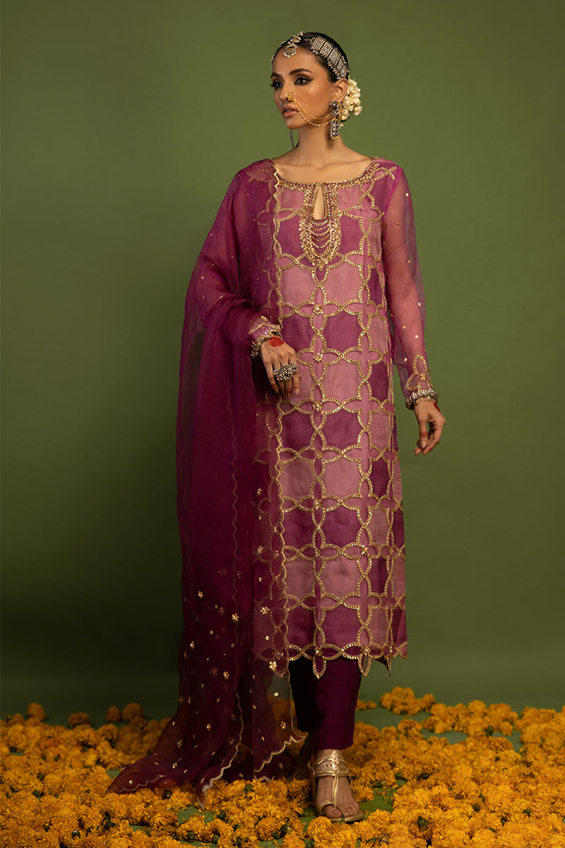 Wardha Saleem | Luxury Pret Traditional Wear | SARAAB - PLUM HEAVY (2 PC) - Official Wardha Saleem - Agha Fabrics UK