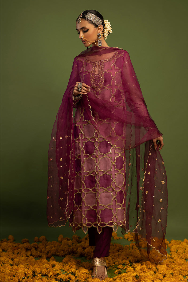 Wardha Saleem | Luxury Pret Traditional Wear | SARAAB - PLUM HEAVY (2 PC) - Official Wardha Saleem - Agha Fabrics UK