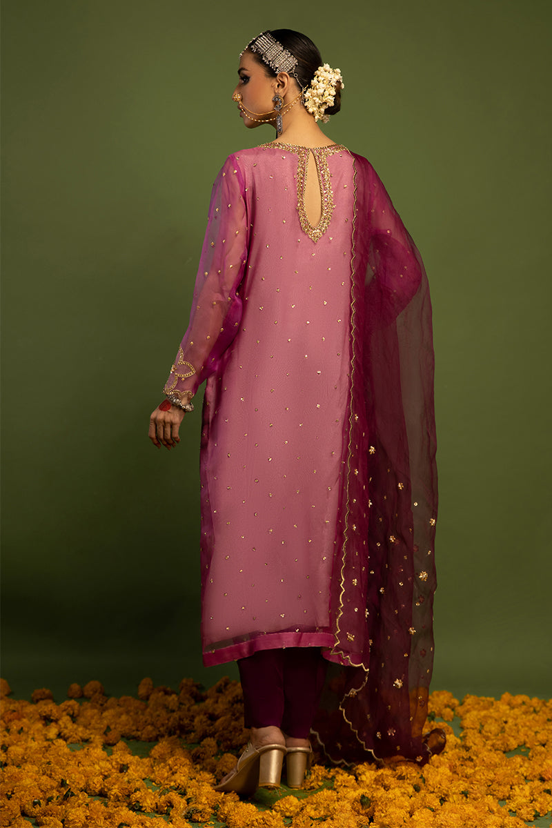 Wardha Saleem | Luxury Pret Traditional Wear | SARAAB - PLUM HEAVY (2 PC) - Official Wardha Saleem - Agha Fabrics UK