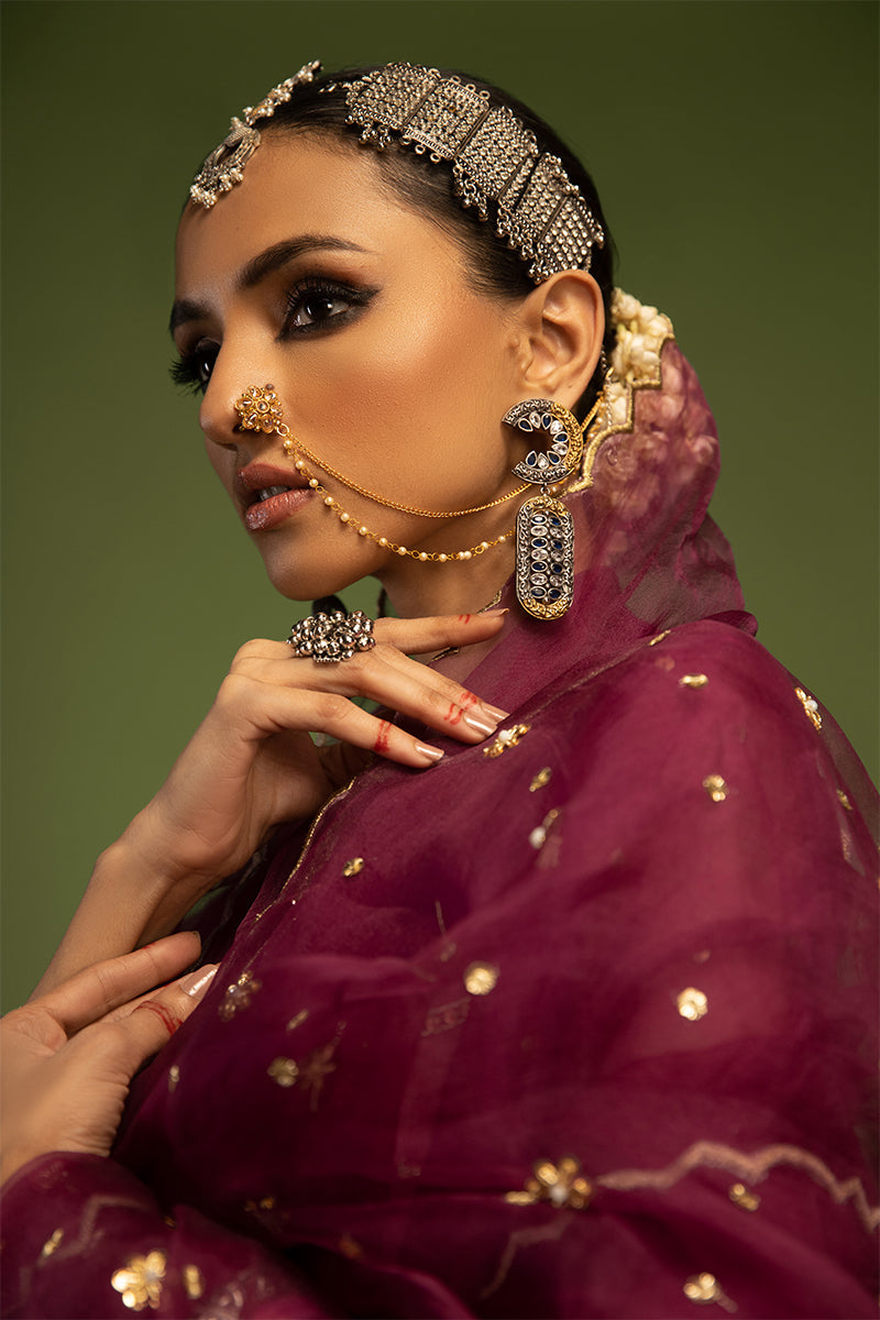 Wardha Saleem | Luxury Pret Traditional Wear | SARAAB - PLUM HEAVY (2 PC) - Official Wardha Saleem - Agha Fabrics UK