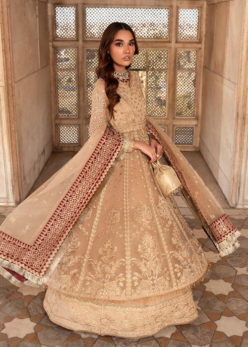 Meeral | Wedding Formals | Raqs