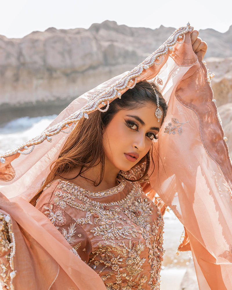 Ain | Aroosh Bridal Couture 24 | NISA - Official Ain - Agha Fabrics UK