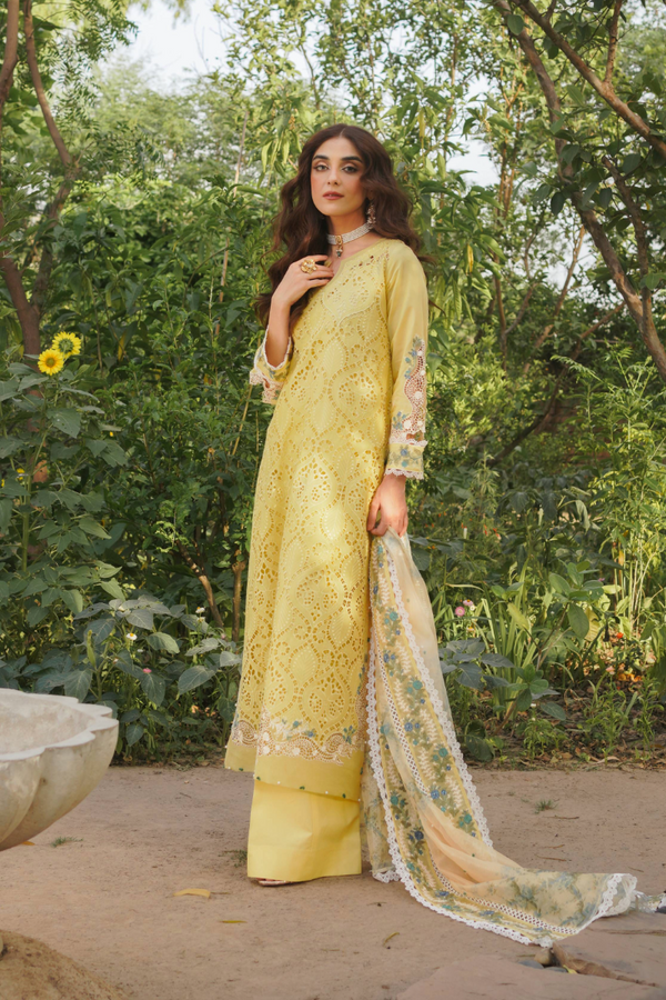 Manara | Luxury Lawn 24 | NEHAL
