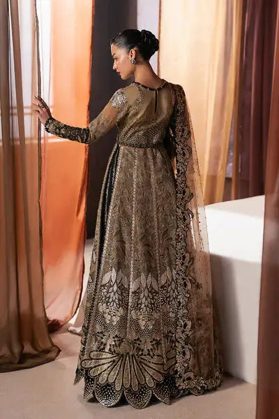 Afrozeh | Hayat Formals 25 | Rayyan