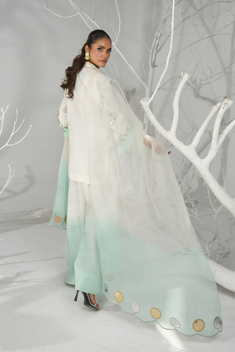 Wardha Saleem | Zimal Silk Edit | Saha - Official Wardha Saleem - Agha Fabrics UK