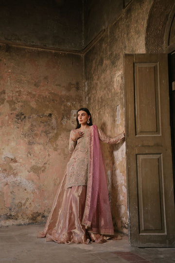 Wahaj M Khan | Banno Formals | Pale Pink Lama Tissue Bano