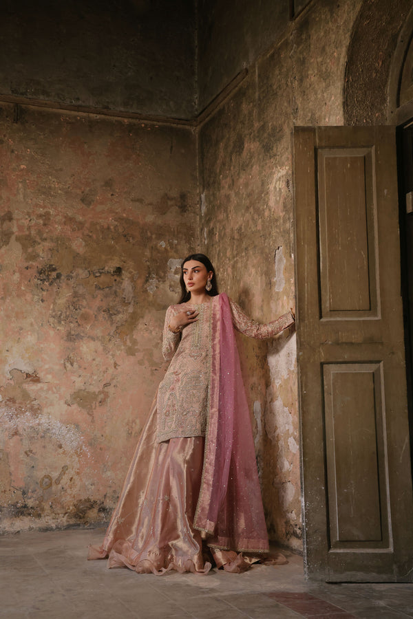 Wahaj M Khan | Banno Formals | Pale Pink Lama Tissue Bano